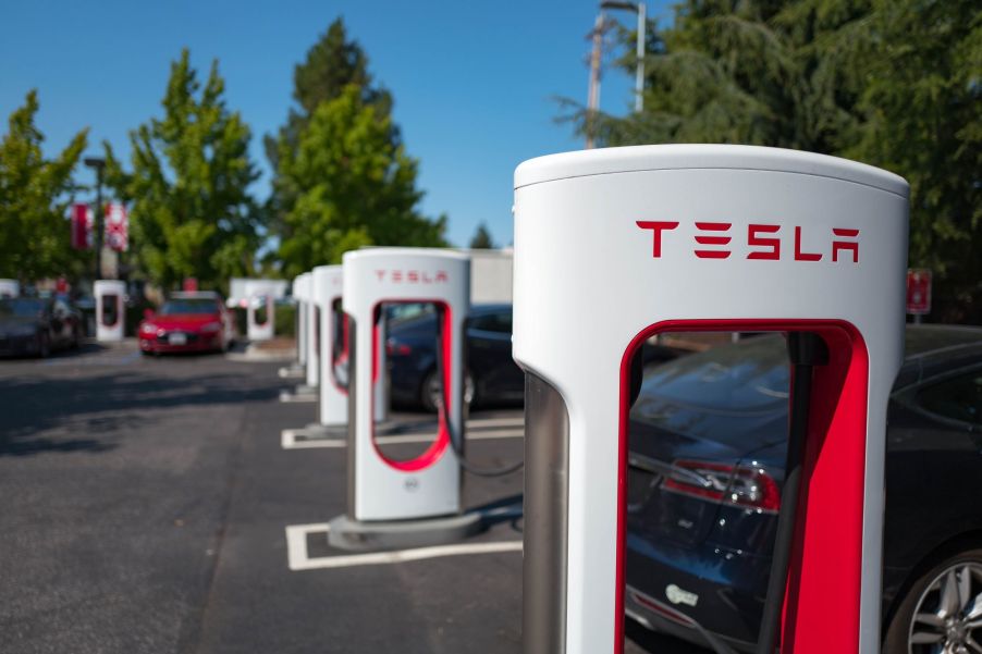 A row of Tesla charges with trees in the background.