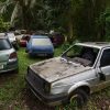 abandoned cars in a forest