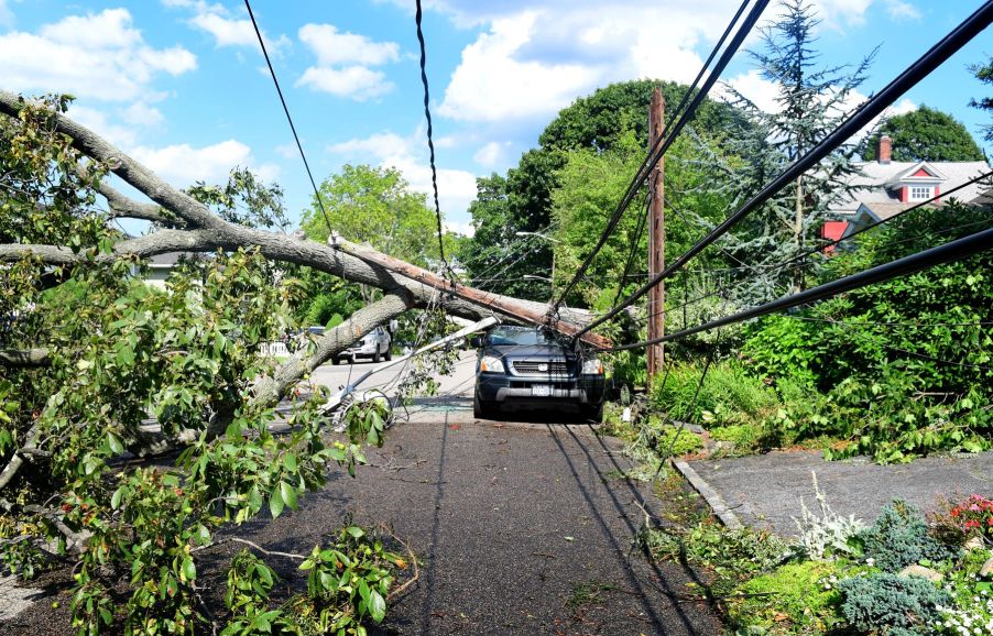 A car crushed under a tree and power lines after Tropical Storm Isaias