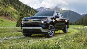 The 2022 Chevy Silverado parked in grass