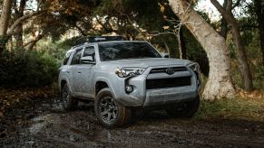 A white 2021 Toyota 4Runner splashes through the woods.