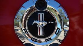 Makers of the Ford Mustang Shelby logo on a red car.