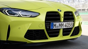 BMW Kidney Grille