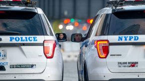 Two police cars, who could find a stolen car, parked beside each other with lights in the background.