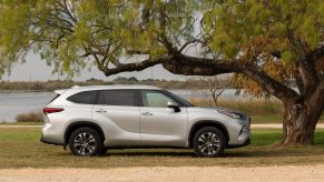 Silver 2022 Toyota Highlander parked next to a tree