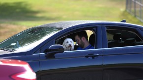 A white dog sits on a man's lap in the front seat of a car in traffic