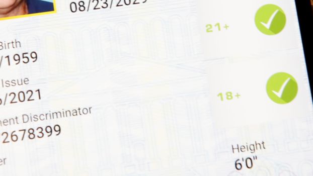 What Countries Accept a U.S. Driver’s License?