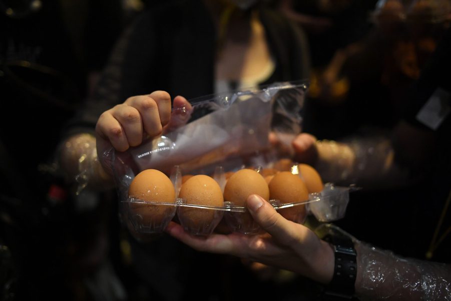 Person Getting Ready To Throw Eggs