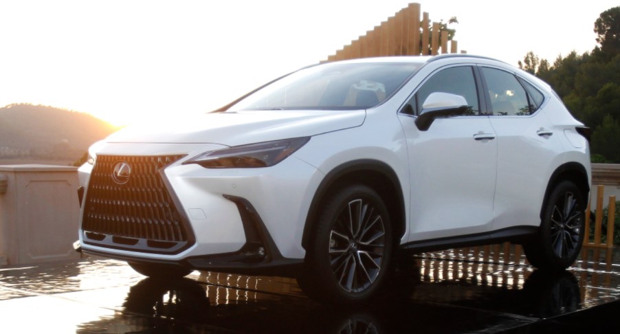 A white 2022 Lexus NX is on display.