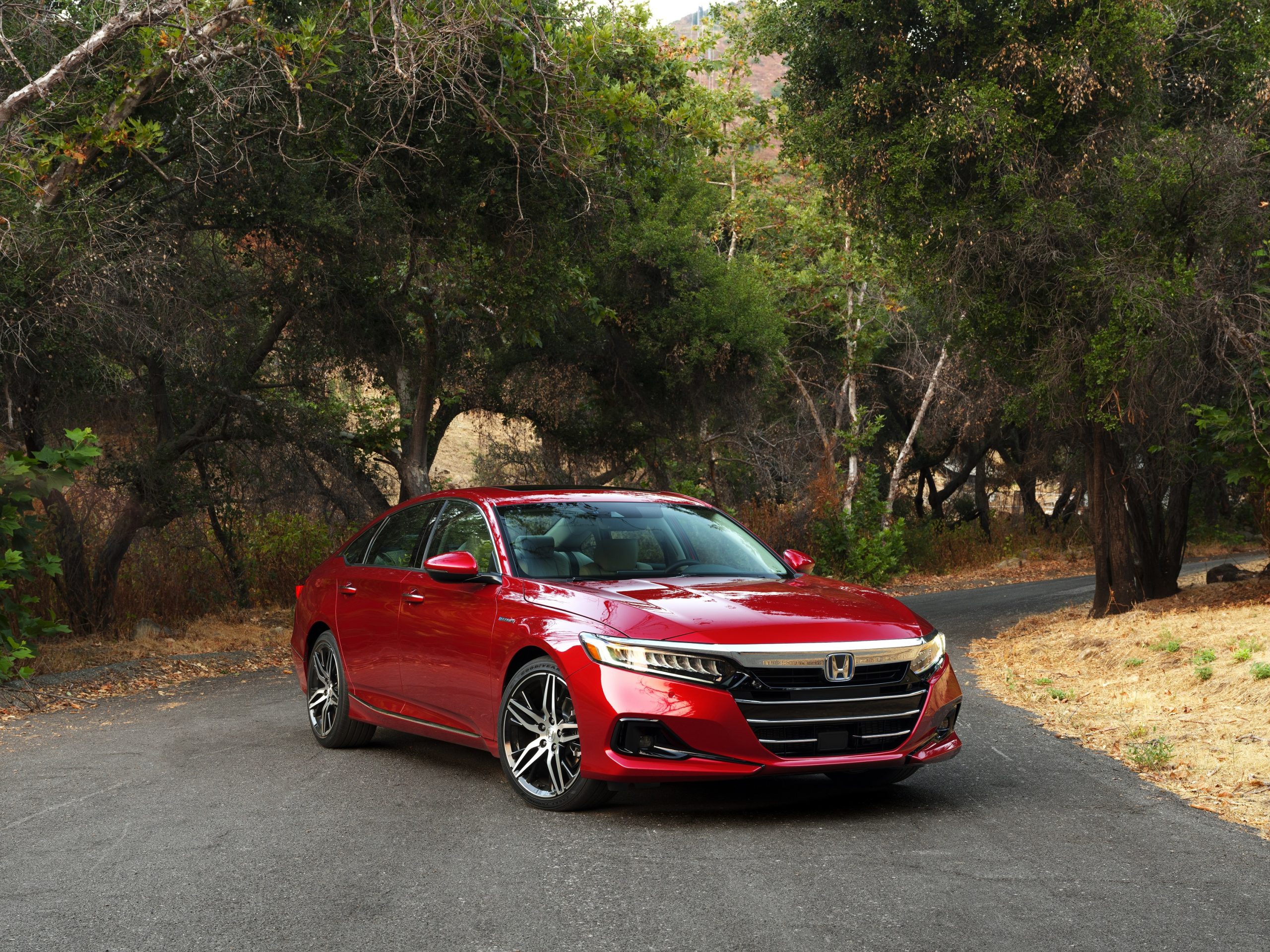 A red 2022 Honda Accord midsize sedan shot from the front 3/4 in a forest