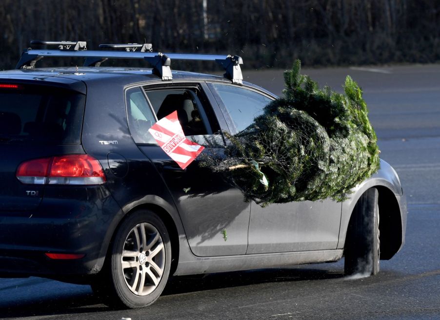 Christmas tree that wasn't safely tied falls off the roof of a blue Volkswagen car