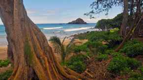 Hamoa Beach near Maui Hana Highway, mistaken for surfer Kelly Slater