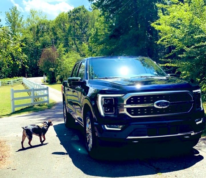 The 2021 Ford F-150 PowerBoost Hybrid near a fence