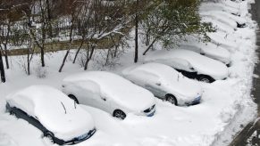 Line of cars covered in snow