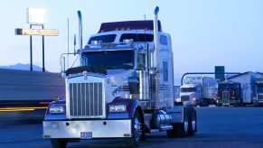 Painted semi-truck parked at rest stop