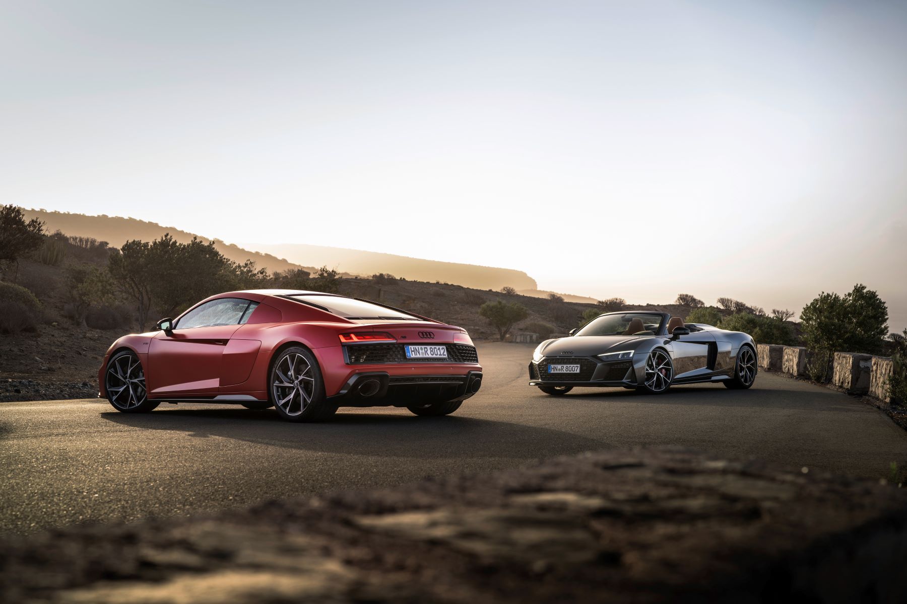 Audi R8 coupe and Audi R8 Spyder convertible