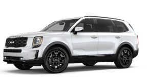 A white 2022 Kia Telluride against a white background.