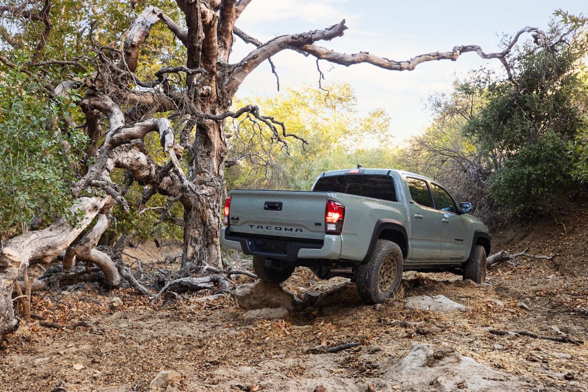 A gray 2022 Toyota Tacoma midsize pickup truck driving on rocks in the woods