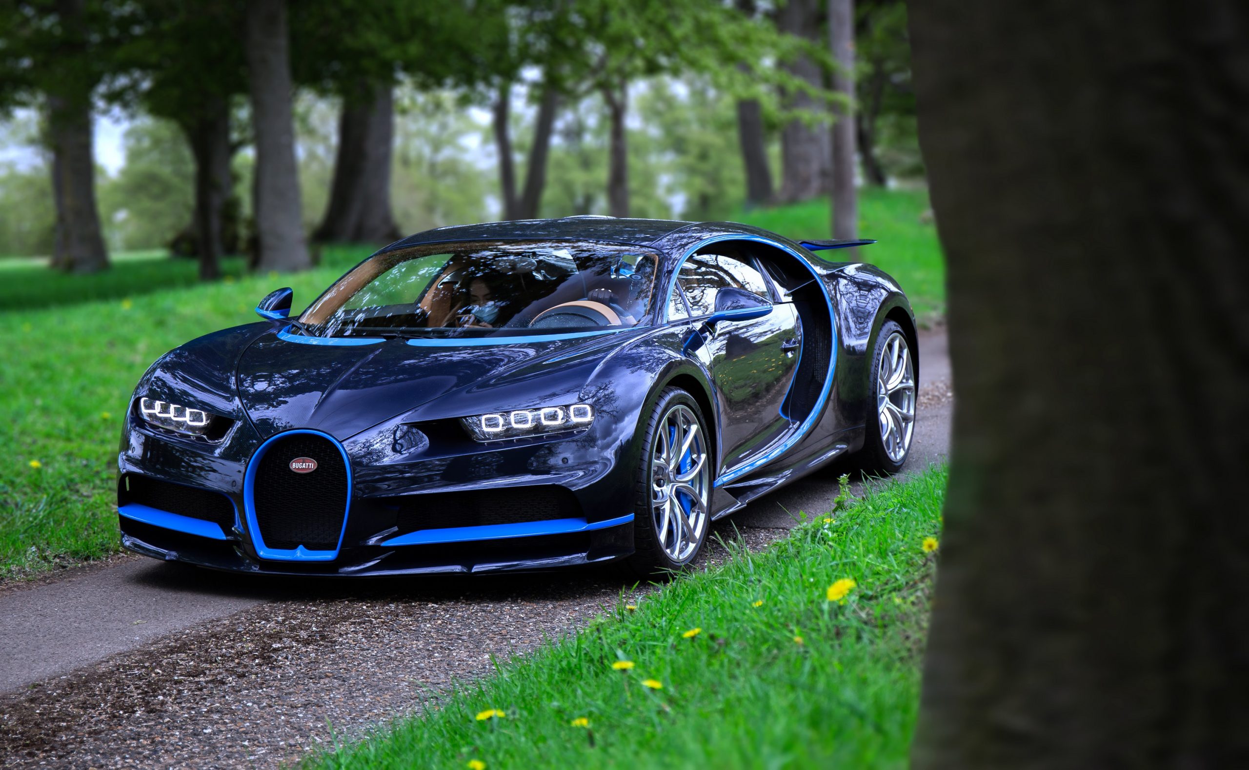 A blue-on-blue Bugatti Chiron, one of the fastest cars in the world, shot from the 3/4 angle among trees