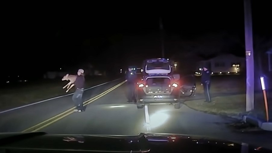 screen shot from a video of a man carrying a deer from his car to the side of the road. A good reminder that picking up road kill isn't always the best idea.