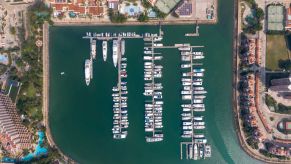 Rows of yachts in a marina area at dock.