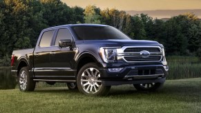 The 2022 Ford F-150 parked in grass