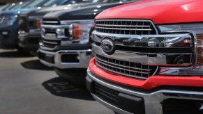 Lineup of F-150 trucks