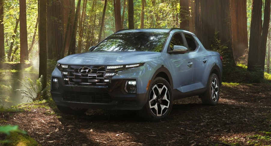 A blue Hyundai Santa Cruz is in the forest.