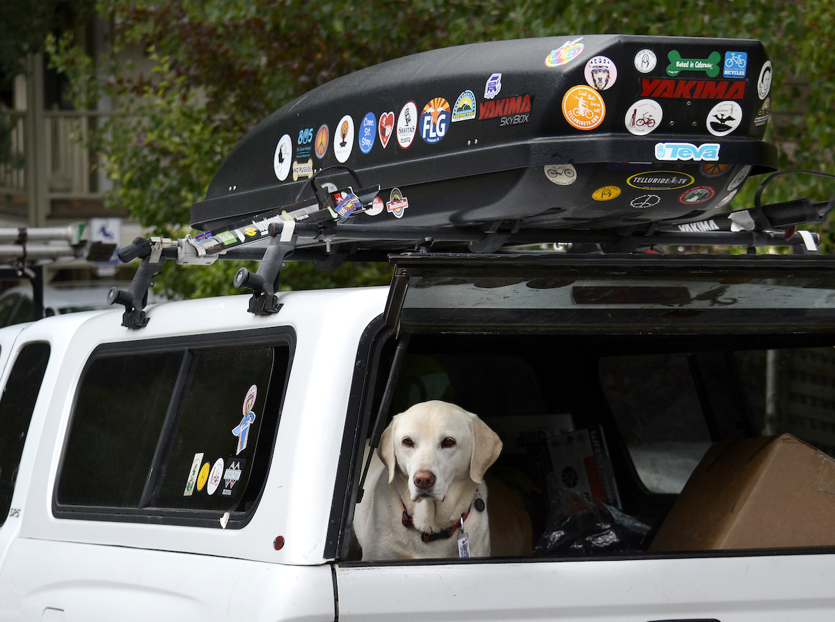 A Yakima rooftop cargo carrier attached to a vehicle's roof