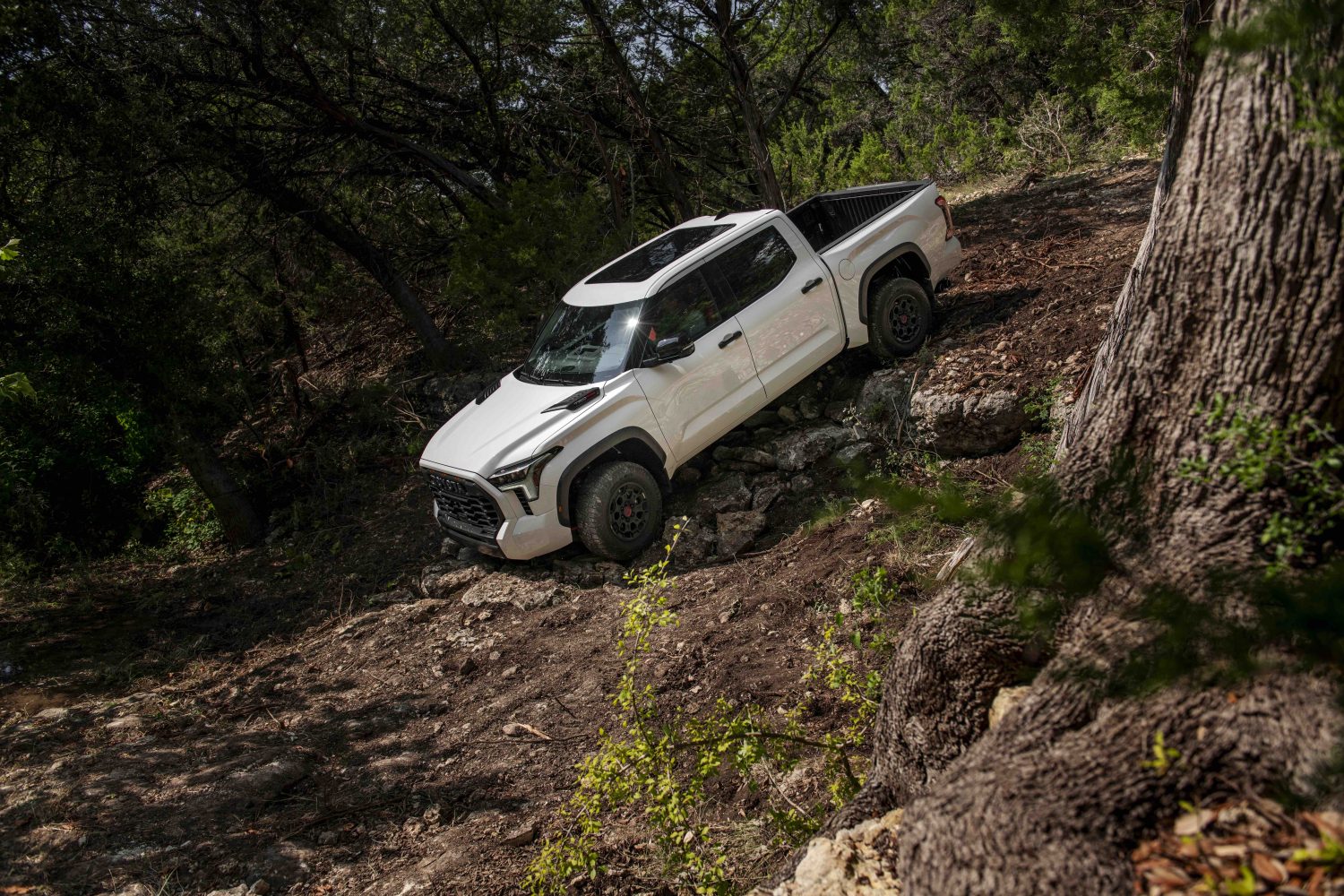 White Toyota 4x4 pickup truck showing off its TRD Pro hardware by traversing a steep rock face in a wooded off-road trail.