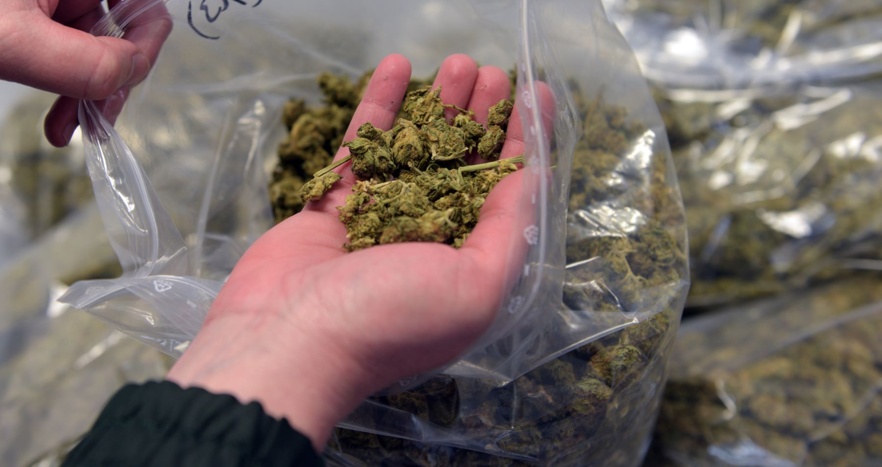 Marijuana seized from a car during a customs officer search in Ulm, Germany