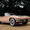 1964 Chevrolet Corvette Stingray convertible model parked on a gravel forest path