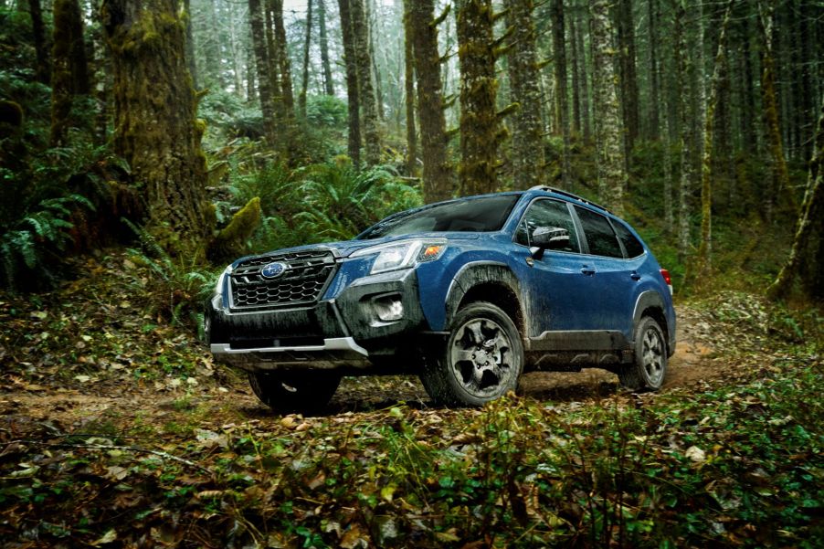 The 2022 Subaru Forester Wilderness compact SUV parked on a leaf-covered path within a forest