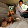 The Best SUVs for dogs and dog owners