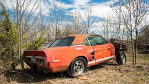 Little Red Shelby Ford Mustang GT500 prototype sitting in a field in Texas