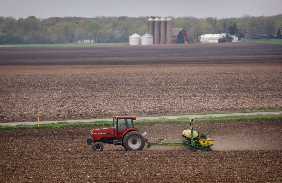 One red tractor driving through a cornfield.