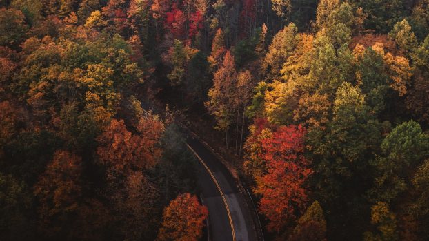 Take a Scenic Drive to America’s Most Wholesome Auto Show