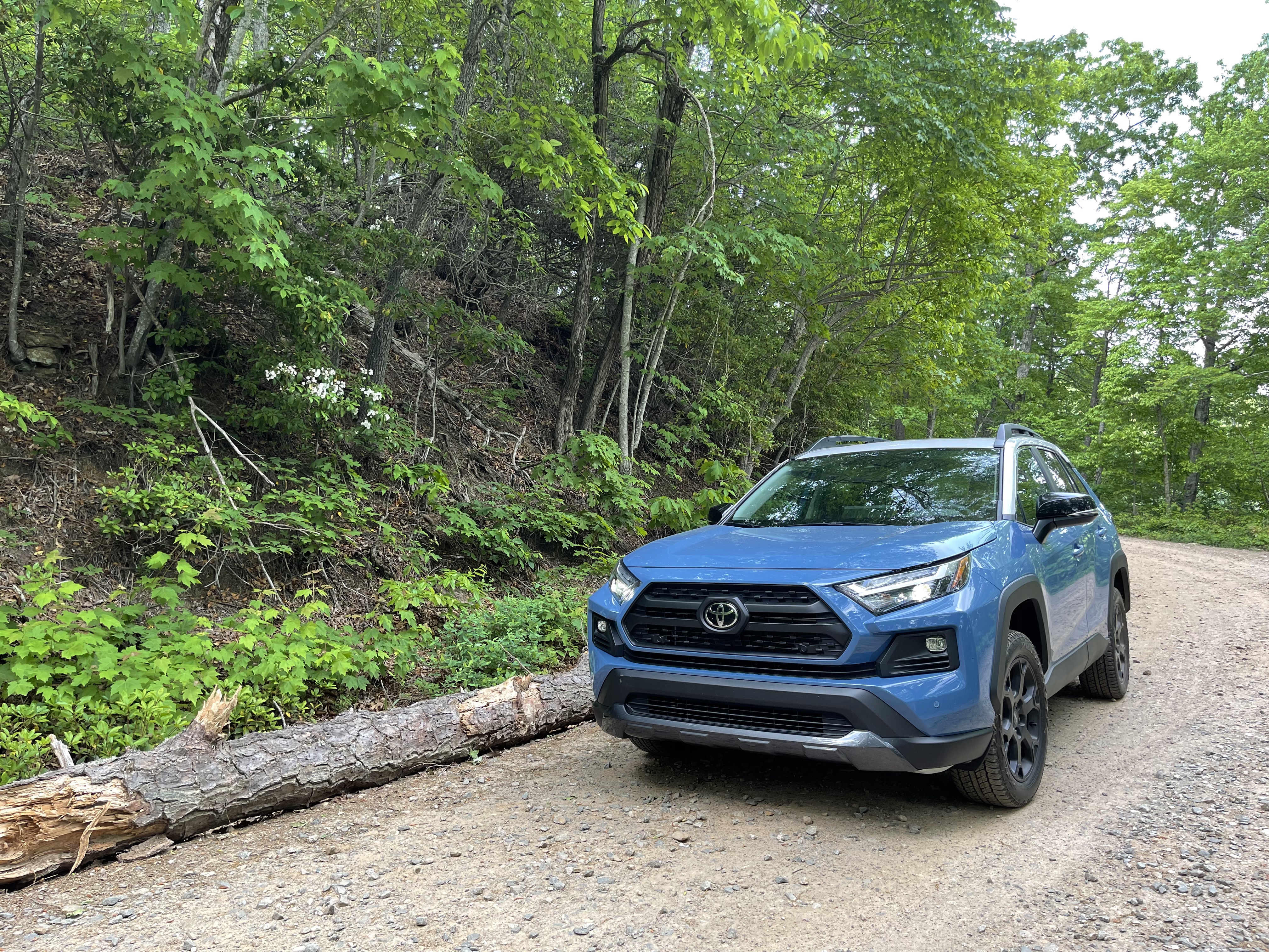 2022 Toyota RAV4 TRD Off-Road