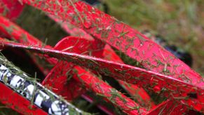 Red Great States reel lawn mower covered in grass clippings