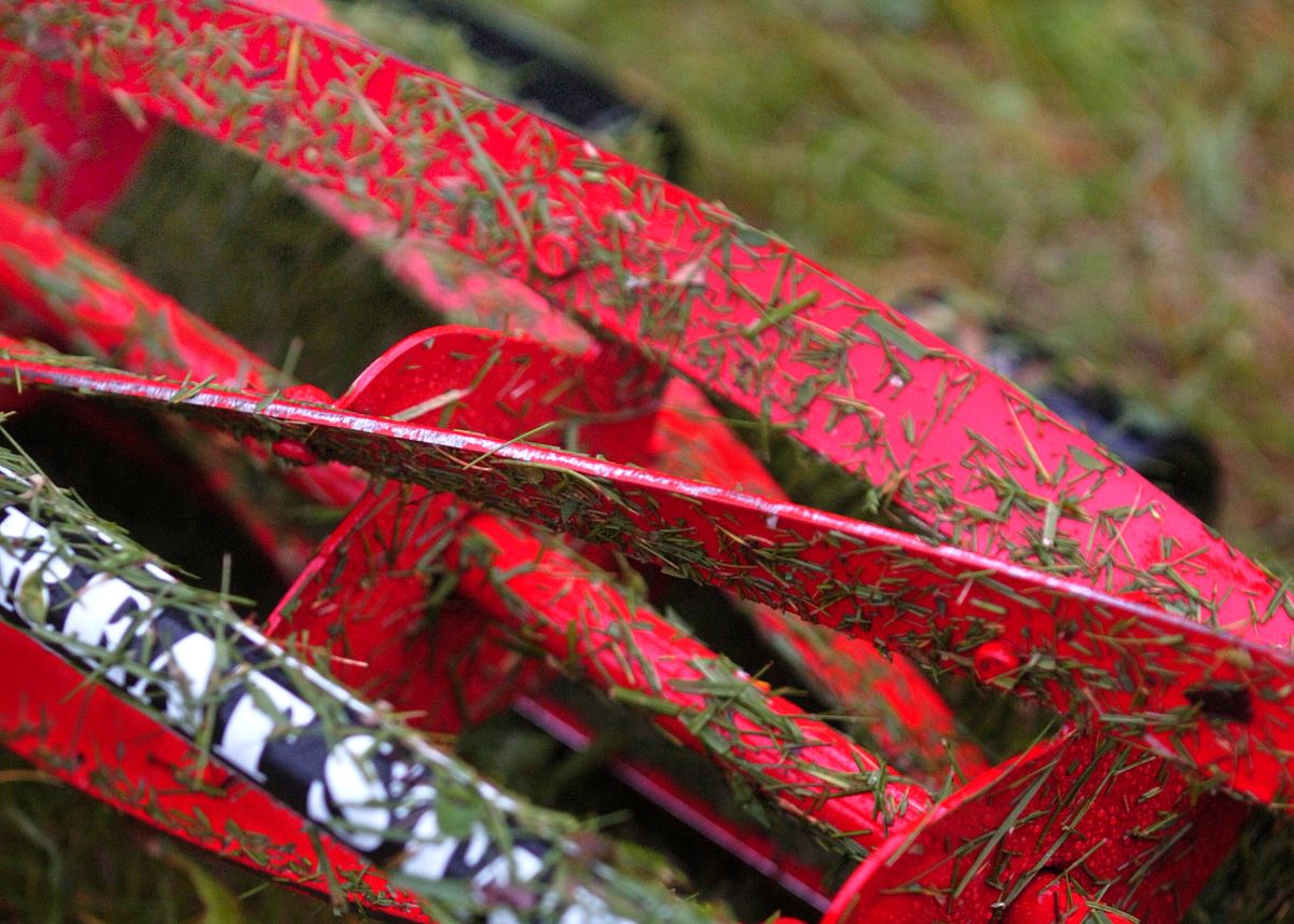 Red Great States reel lawn mower covered in grass clippings