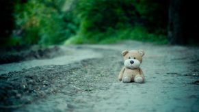 Small brown stuffed animal sits on a dark dirt road looking sad. Stuffed animals on trucks is a common thing to see.