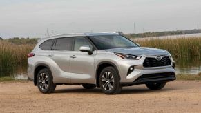 A silver gray 2022 Toyota Highlander XLE midsize SUV model parked near a marsh with water reeds