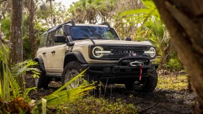 A 2022 Ford Bronco Everglades in Desert Sand Color is parked off-road.