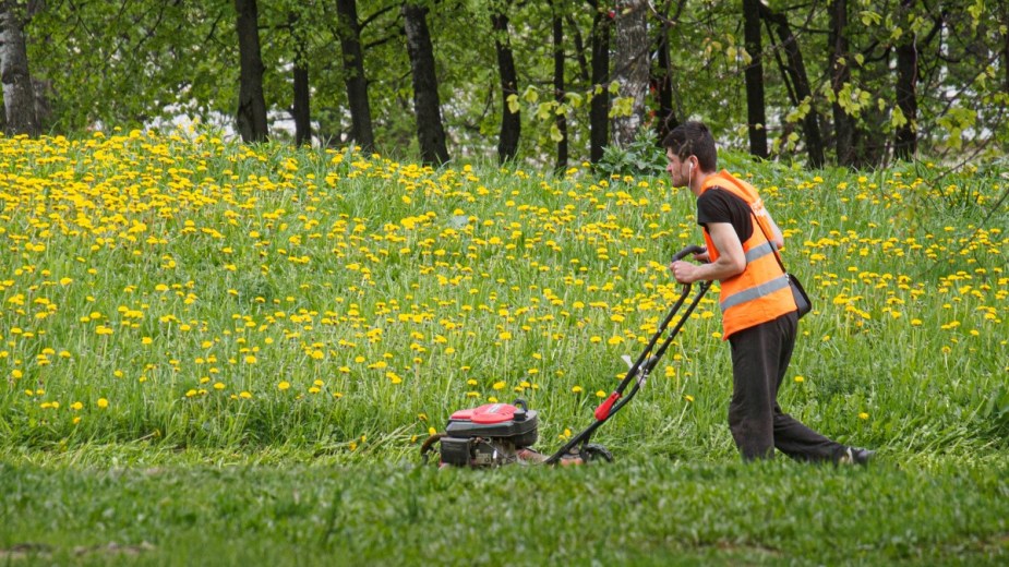 Man pushing a lawn mower, highlighting reasons to not cut the grass and let your lawn grow wild