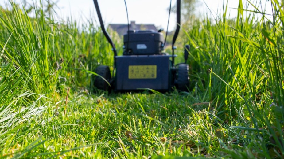 Push lawn mower cutting the grass, highlighting reasons to not cut the grass and let your lawn grow wild