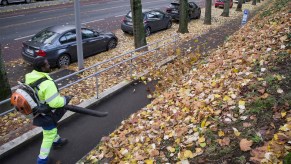 Man blowing leaves