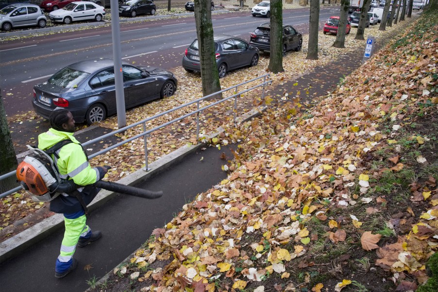 Man blowing leaves