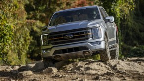 Ford F-150 Tremor price