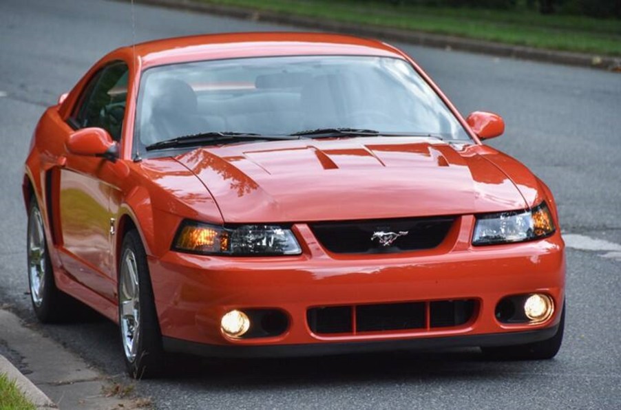 The Ford Mustang SVT Cobra Terminator is one of SVT's finest creations.