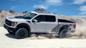 A white raptor R in the sand